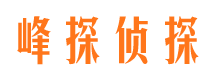 岳阳楼市侦探调查公司